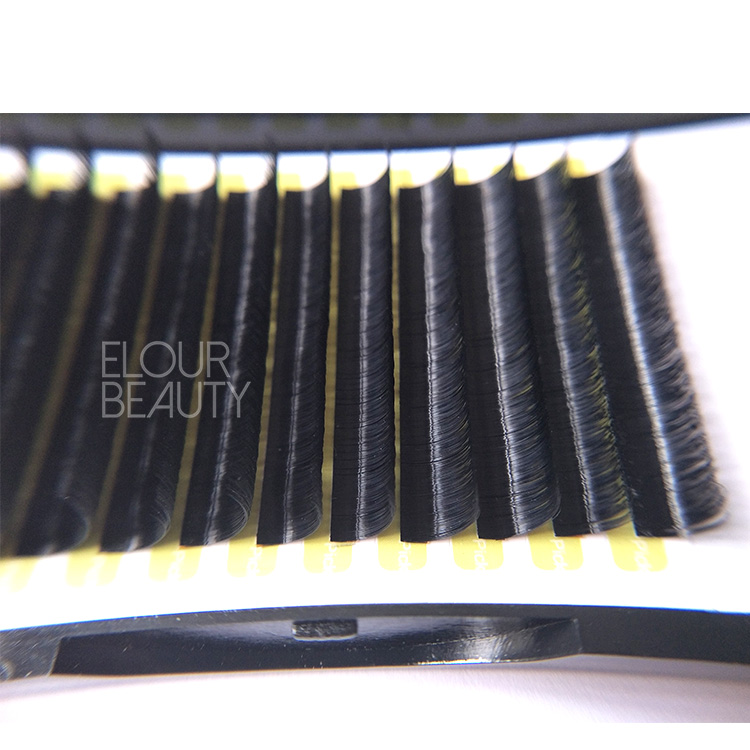 Blooming Lashes China wholesale supply.jpg